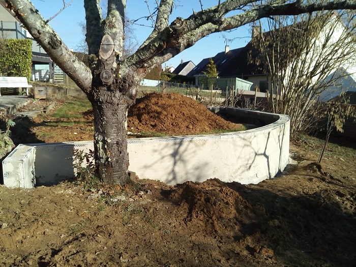 Img 20220111 123450